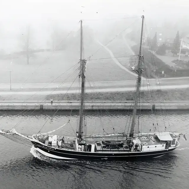 Undine im Nord-Ostsee-Kanal